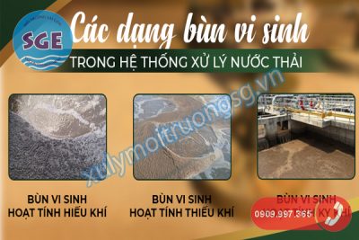 Các dạng bùn vi sinh trong hệ thống xử lý nước thải