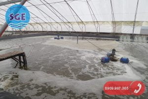 Xử lý nước thải nuôi trồng thủy sản