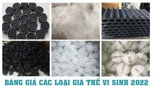 Bảng giá các loại giá thể vi sinh 2022