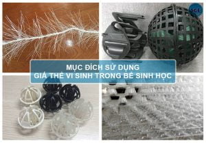 mục đích sử dụng giá thể vi sinh