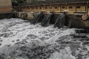 Xử lý mùi hôi nước thải sinh hoạt