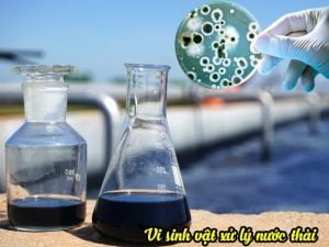 Vi sinh trong xử lý nước thải