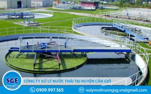 Công ty xử lý nước thải tại huyện Cần Giờ