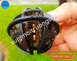 Giá thể vi sinh giá rẻ tại huyện Củ Chi